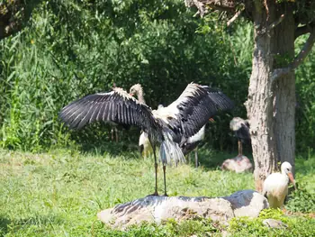 NaturOparC Hunawihr, Alsace (France)